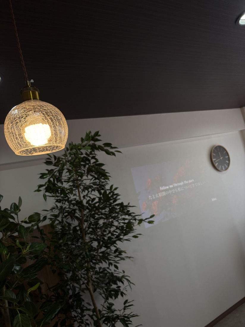 airu. の店内。ペンダントライトと観葉植物
